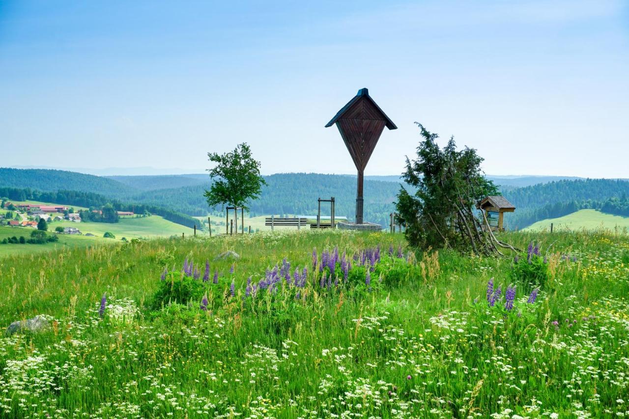 Hubertus Lodge Ibach Exteriér fotografie